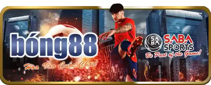 Kèo Wala trong đá gà